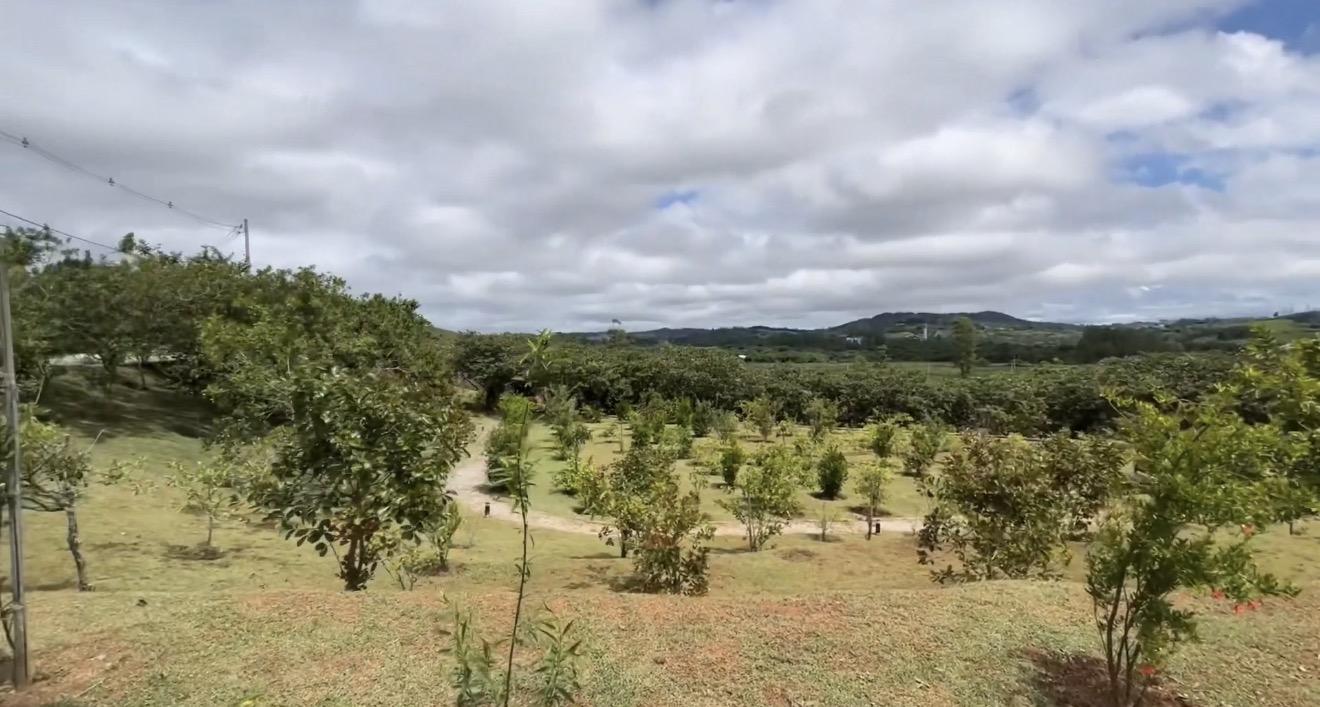 Pomares